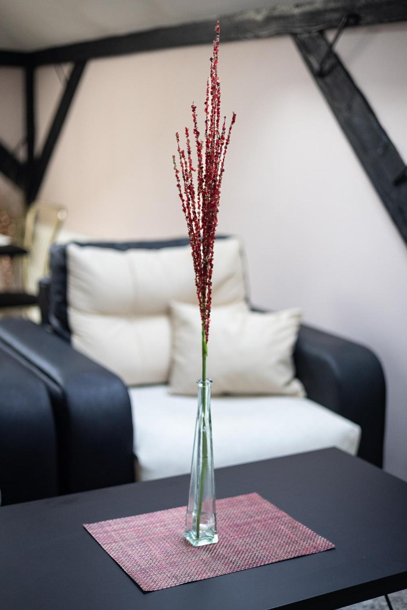 He-Ra Apartments With Free Parking Skopje Phòng bức ảnh
